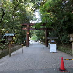 投稿日:2022年10月29日 写真