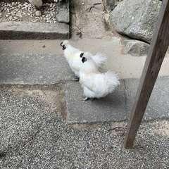 投稿日:2025年1月3日 写真