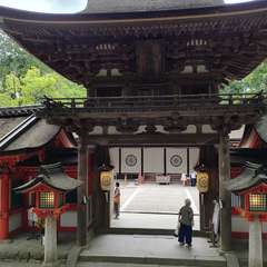 投稿日:2024年6月8日 写真