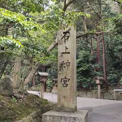 投稿日:2024年6月8日 写真