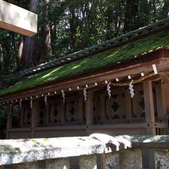 投稿日:2016年7月2日 写真