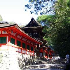 投稿日:2016年2月18日 写真