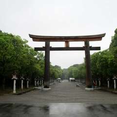 投稿日:2019年4月16日 写真