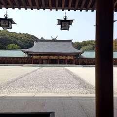 投稿日:2025年3月25日 写真