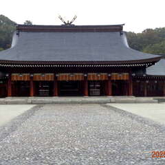 投稿日:2025年6月15日 写真