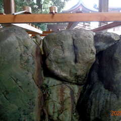 投稿日:2025年6月15日 写真