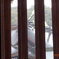 投稿日:2025年6月15日 写真