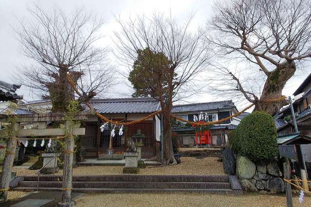 写真