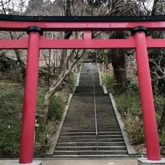 投稿日:2017年4月7日 写真