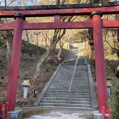 投稿日:2022年1月9日 写真