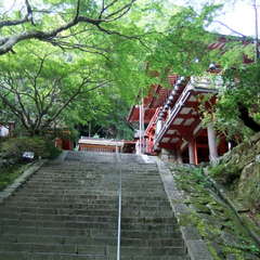 投稿日:2019年8月28日 写真