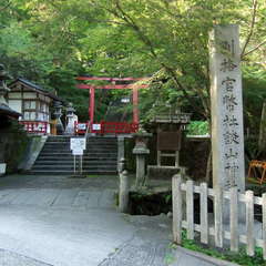 投稿日:2019年8月27日 写真