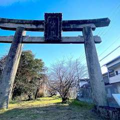 投稿日:2022年1月9日 写真