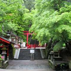 投稿日:2019年4月16日 写真