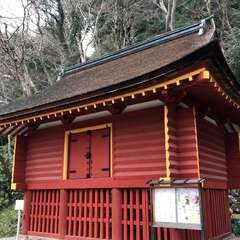 投稿日:2017年4月7日 写真