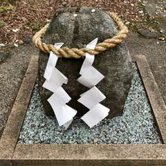 投稿日:2017年4月7日 写真