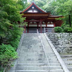 投稿日:2019年8月27日 写真