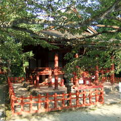 投稿日:2019年8月28日 写真