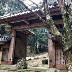 投稿日:2017年4月7日 写真