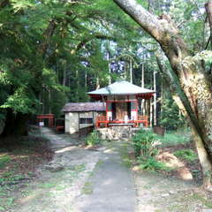 投稿日:2019年8月28日 写真