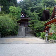 投稿日:2019年8月28日 写真