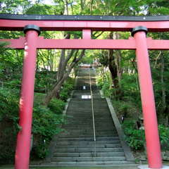 投稿日:2019年8月27日 写真