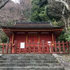 投稿日:2017年4月7日 写真