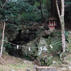 投稿日:2017年4月7日 写真