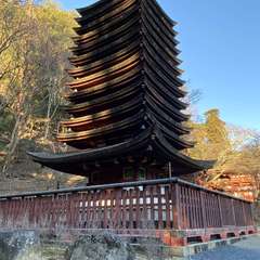 投稿日:2022年1月9日 写真