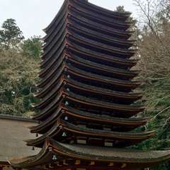 投稿日:2017年4月7日 写真