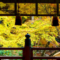 投稿日:2025年2月1日 写真