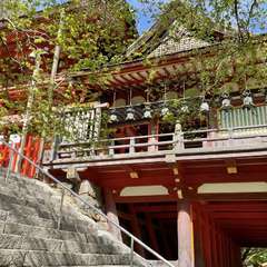 投稿日:2022年4月16日 写真