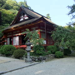 投稿日:2019年8月27日 写真