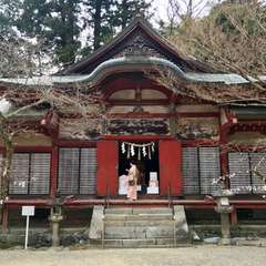 投稿日:2017年4月7日 写真