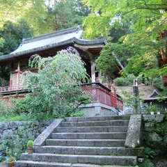 投稿日:2019年8月27日 写真