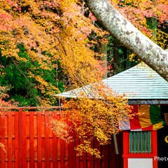 投稿日:2025年2月1日 写真