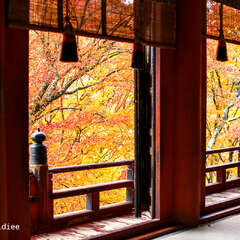 投稿日:2025年2月1日 写真