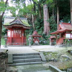投稿日:2019年8月27日 写真