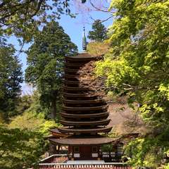 投稿日:2017年5月1日 写真