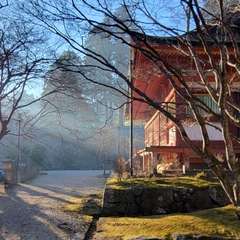 投稿日:2022年1月9日 写真