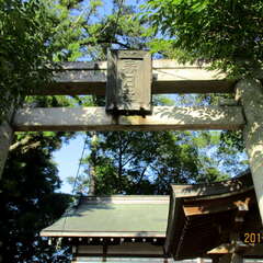 春日神社(投稿日:2025年7月18日) 写真