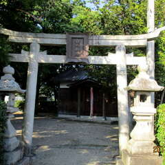 白山神社(投稿日:2025年7月18日) 写真