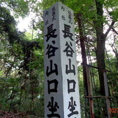 長谷山口坐神社(投稿日:2025年7月24日) 写真