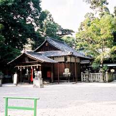 鴨都波神社(投稿日:2025年8月3日) 写真