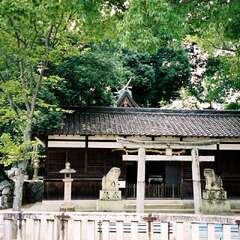 長柄神社(投稿日:2025年8月3日) 写真