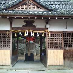 奧は意外に広いです。(投稿日:2017年2月7日) 写真