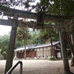 春日神社鳥居(投稿日:2019年11月24日) 写真