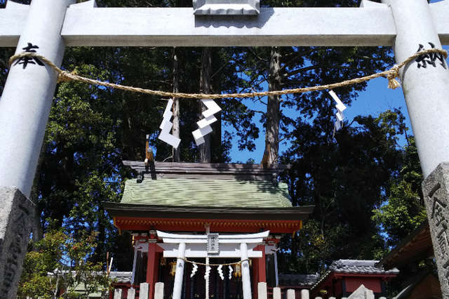 写真