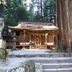 投稿日:2017年12月17日 写真