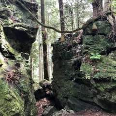 投稿日:2017年5月14日 写真